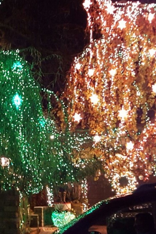 New York City: Dyker Heights Christmas Lights Tour - Who should book this Christmas lights tour?