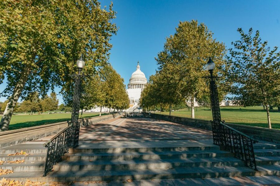 New York City: Full-Day Washington DC City Highlights Tour - Language, Group Rhythm, and Guide Quality