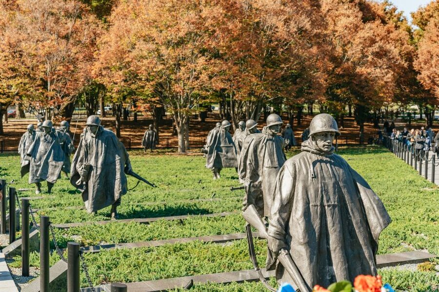 New York City: Full-Day Washington DC City Highlights Tour - Is $149 Good Value?