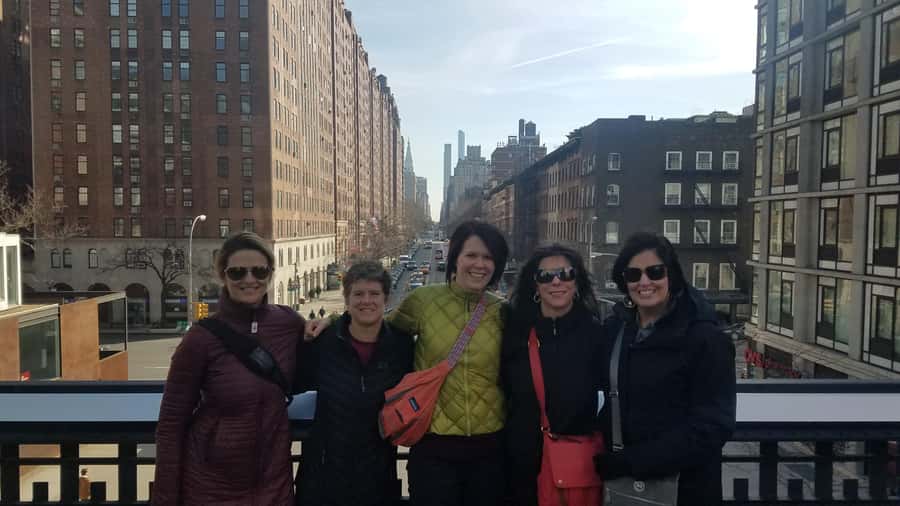New York City: High Line Walking Tour - Why the High Line is worth seeing from above