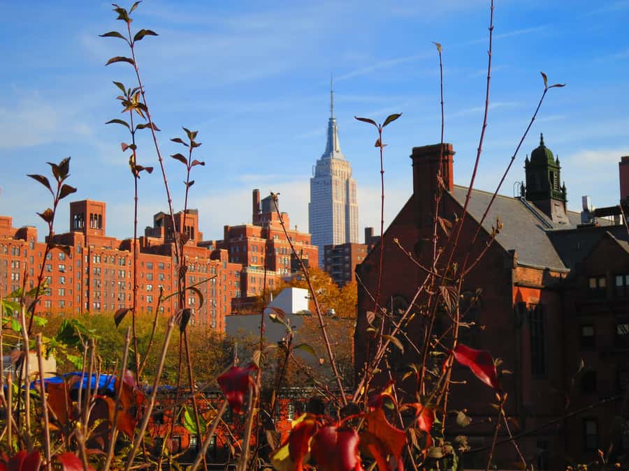 New York City: High Line Walking Tour - The gardens in the sky