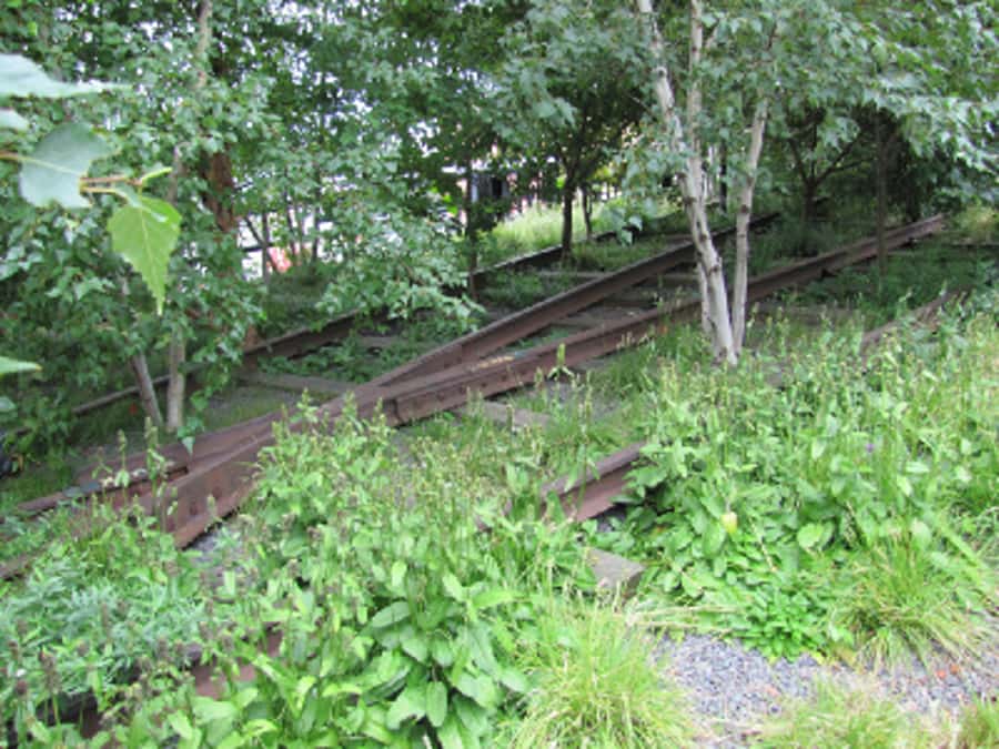 New York City: High Line Walking Tour - Art, design, and the High Line as a public work