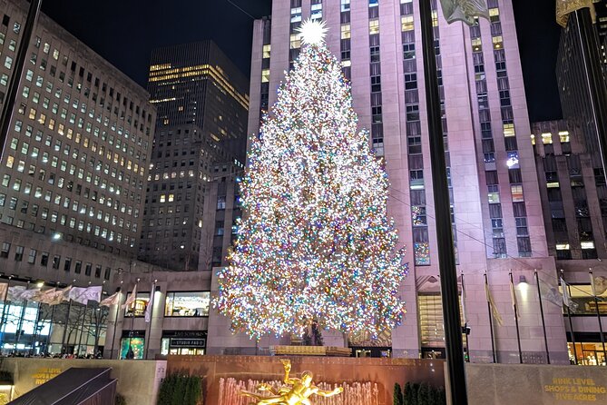 New York City Holiday Lights Tour - Key points at a glance