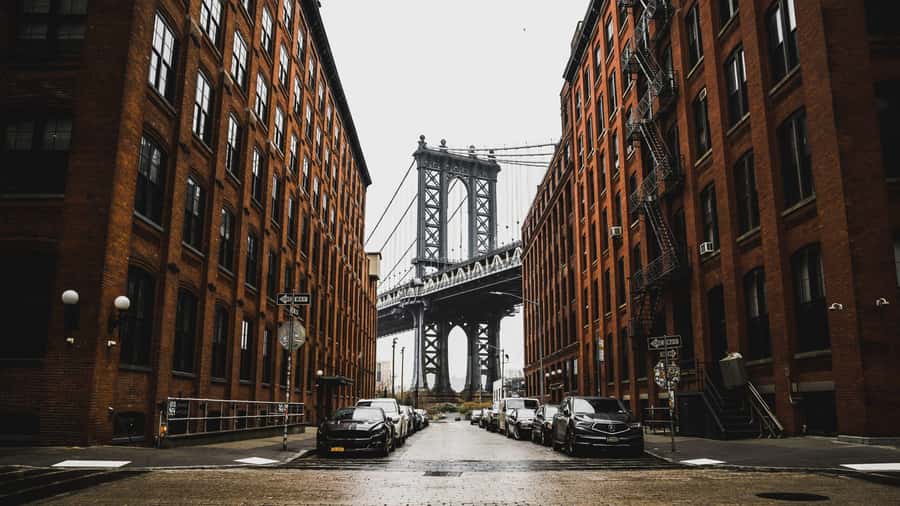 New York City: Multicultural Contrasts Tour - A five-hour look at New York beyond Manhattan