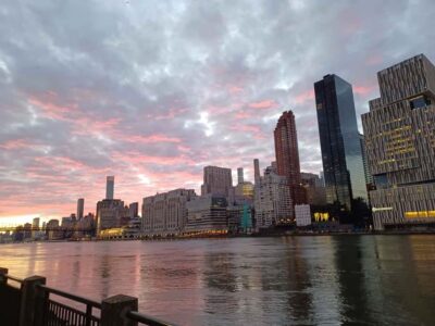 Roosevelt Island Walking Tour with Tram Ride