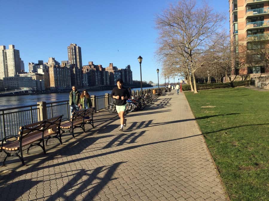 New York City: Roosevelt Island Walking Tour with Tram Ride - Octagon, Nellie Bly, and the former asylum