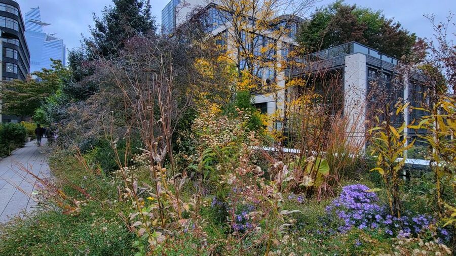 New York City: Secrets Of High Line Park Walking Tour - Why this High Line walk is different