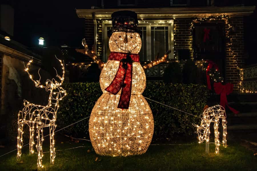New York: Dyker Heights Christmas Lights Guided Tour - What the guide adds to the lights