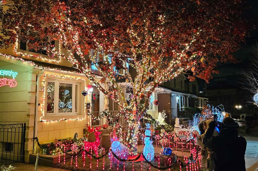 New York: Dyker Heights Christmas Lights Guided Walking Tour - Winter clothing and walking comfort