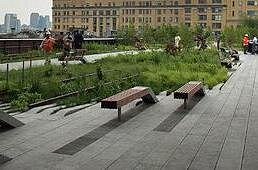 New York High Line Park Walking Tour - Why the High Line is worth a guided walk