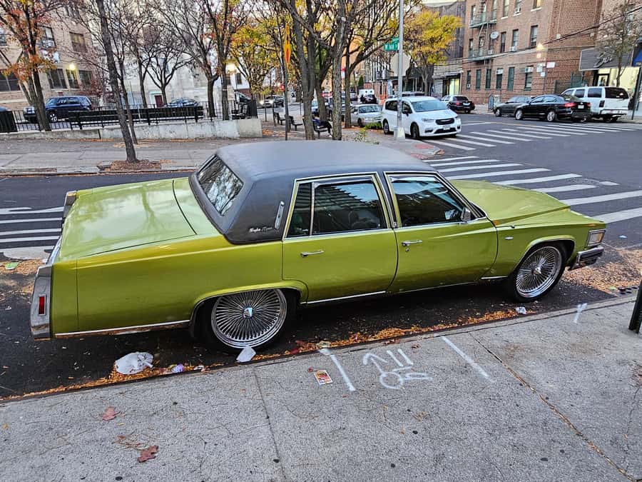 New York: Hip-Hop, Murals, Sports, and Dangerous Neighborhoods Tour - The guides and the feel of the storytelling