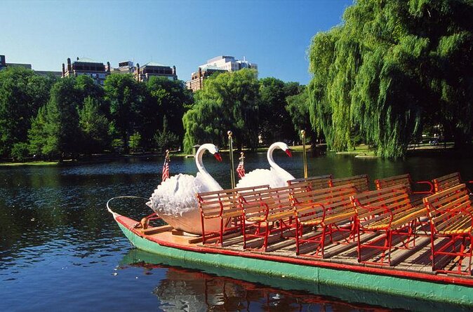 New York To Boston and Harvard in One Day - Key points to know before booking