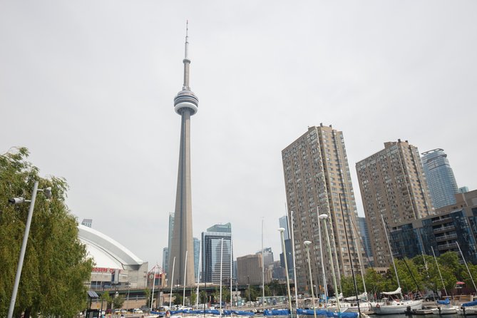 Niagara Falls, Toronto, Philadelphia, DC 5-Day Tour from NYC - Guides, language, and the pace of the ride