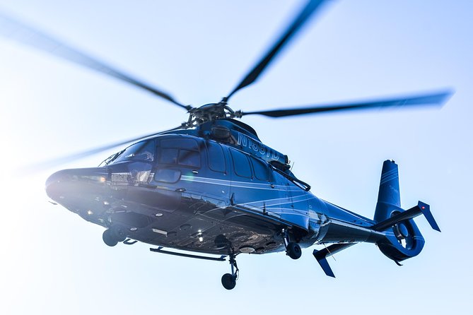 NY Helicopter Tour: Manhattan Highlights (Heliport fees Incl.) - Brooklyn Bridge and the East River view