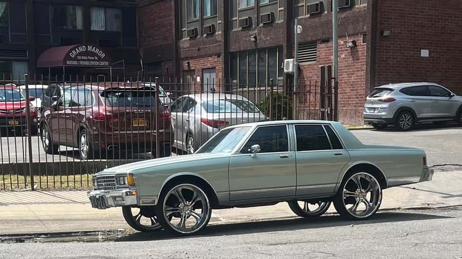 NYC: Bronx Subway and Walking Tour with Bronx Little Italy - Why this Bronx tour is different