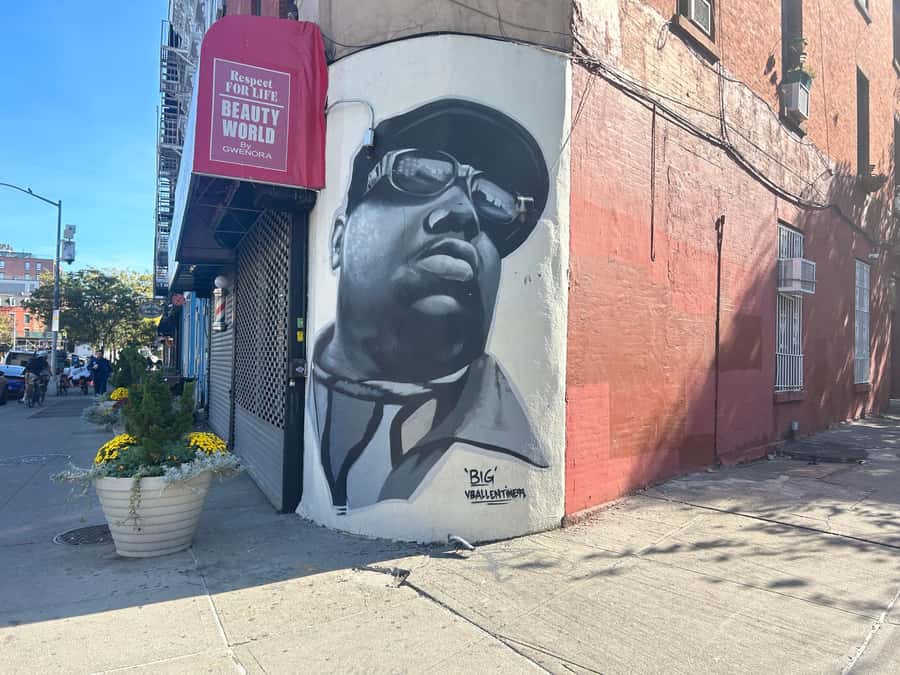 NYC, Brooklyn: Notorious Biggie Smalls Themed Walking Tour - Starting near Jay Street and Downtown Brooklyn