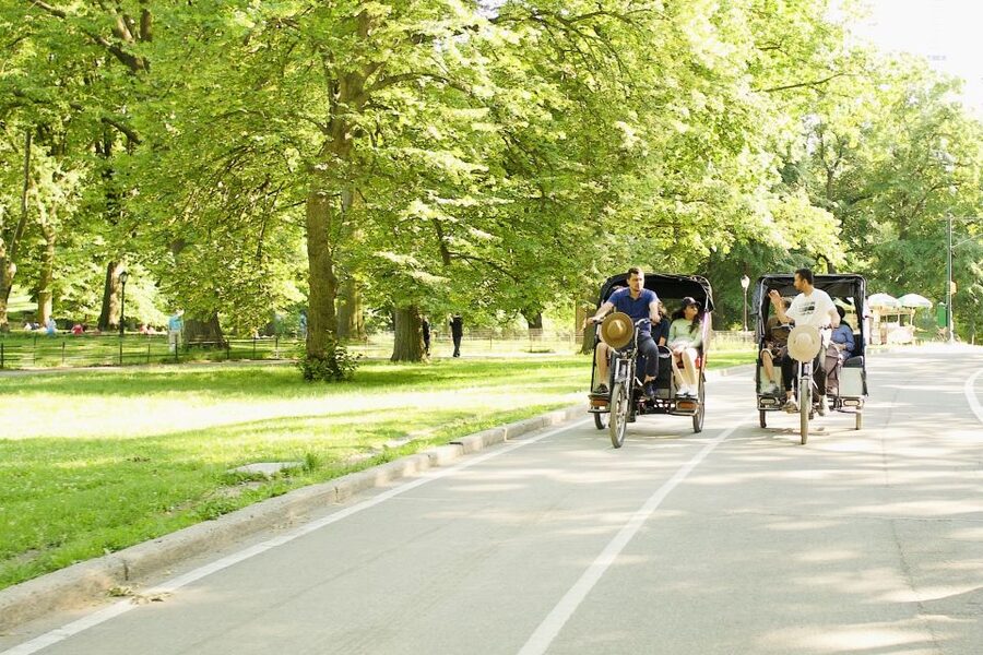NYC: Central Park Celebrity Homes & Film Spots Pedicab Tour - The guide makes or breaks the ride