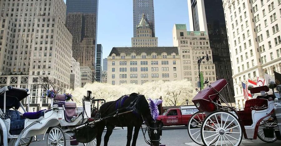NYC: Central Park Christmas Lights Horse-Drawn Carriage Ride - What 45 Minutes Feels Like in Central Park