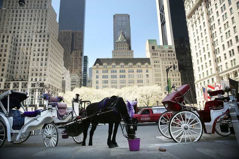 NYC: Central Park Christmas Lights Horse-Drawn Carriage Ride - Central Park Holiday Lights and Winter Views