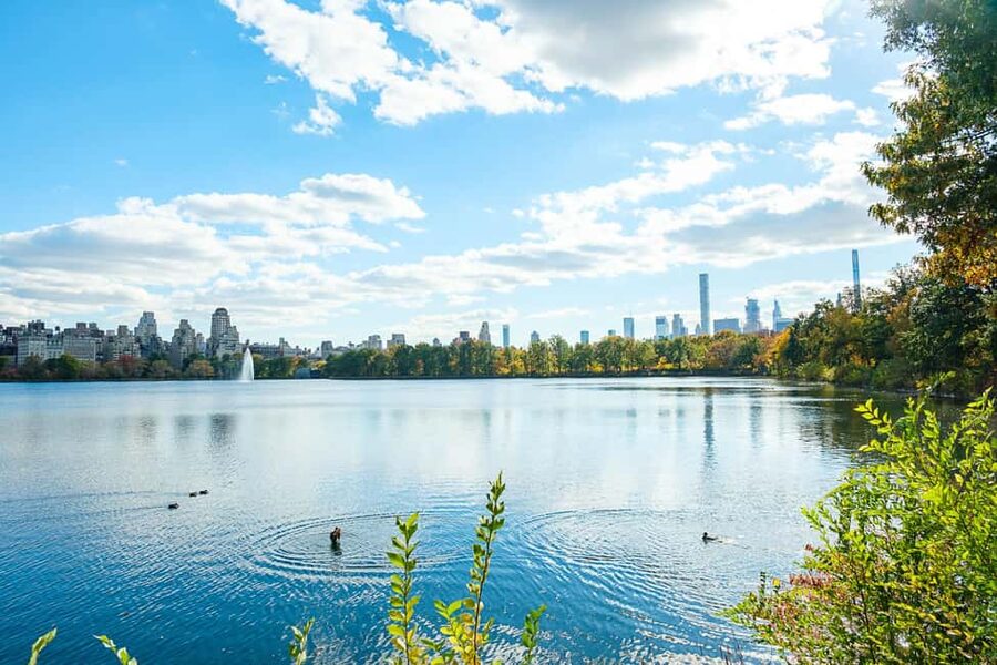 NYC: Central Park Elf & Home Alone Film Spots Pedicab Tour - What the guides add