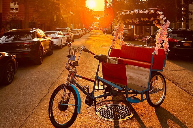 NYC Central Park guided Pedicab Tour - 1 hour - Carousel, Chess Tables, and the Dairy