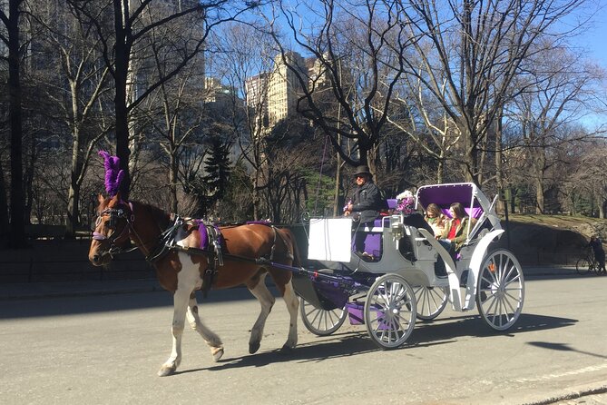 NYC Central Park Horse and Carriage Ride: Long Ride 45 min - Wollman Rink and Heckscher Playground