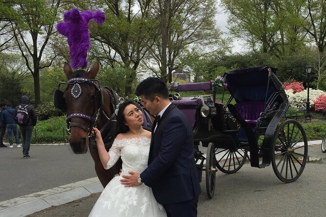 NYC Central Park Horse and Carriage Ride: Long Ride 45 min - Conservatory Water and the Lake photo stop