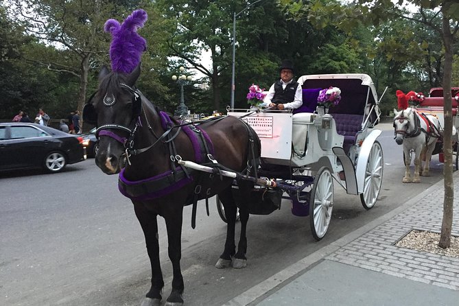 NYC Central Park Horse and Carriage Ride: Long Ride 45 min - Bethesda Terrace, the Fountain, and Cherry Hill