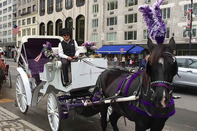 NYC Central Park Horse and Carriage Ride: Long Ride 45 min - Strawberry Fields and the Dakota building