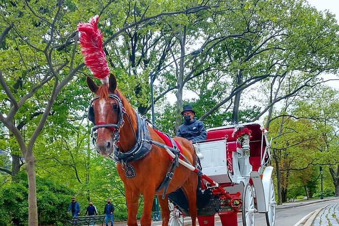 NYC Central Park Horse and Carriage Ride: Long Ride 45 min - Fifth Avenue, the Upper West Side, and the park’s city frame