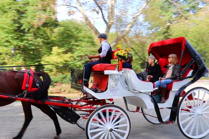NYC Central Park Horse Carriage Ride (Up to 4 Adults) - Why a carriage is a useful way to see Central Park