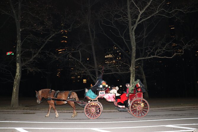 NYC Central Park Horse Carriage Ride (Up to 4 Adults) - The Carousel and Balto’s story