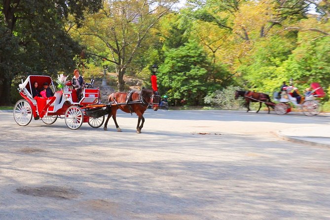 NYC Central Park Horse Carriage Ride (Up to 4 Adults) - Bethesda Fountain and the Angel of the Waters