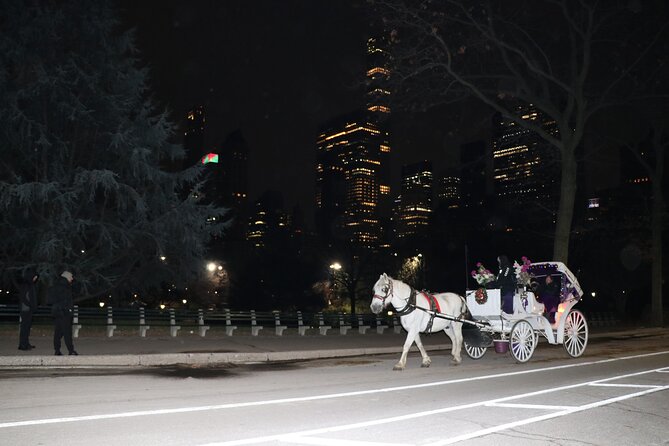 NYC Central Park Horse Carriage Ride (Up to 4 Adults) - The Lake and the former Boathouse area