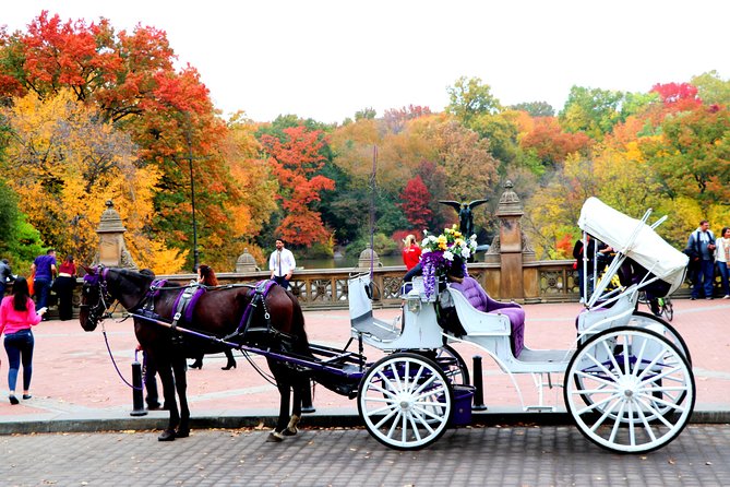 NYC Central Park Horse Carriage Ride (Up to 4 Adults) - Starting at the José Julián Martí Statue