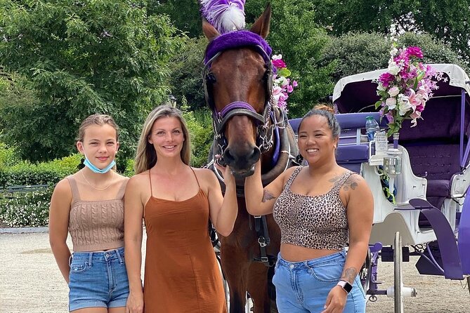 NYC Central Park Horse Carriage Rides (Winter sale) - Why a horse carriage works well in Central Park