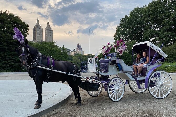 NYC Central Park Horse Carriage Rides (Winter sale) - Meeting near 7th Avenue and West 59th Street