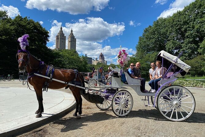 NYC Central Park Horse Carriage Rides (Winter sale) - Bethesda Fountain and Cherry Hill photo stops