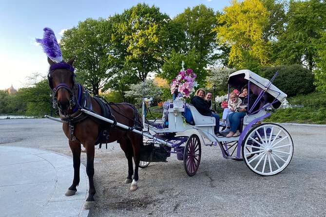 NYC Central Park Horse Carriage Rides (Winter sale) - Sheep Meadow, Tavern on the Green, and Columbus Circle