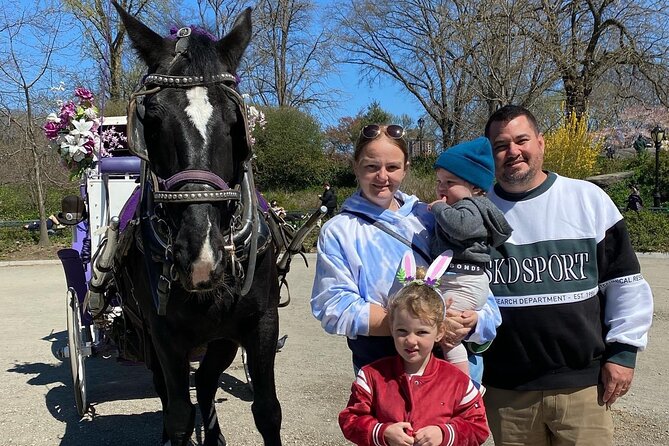 NYC Central Park Horse Carriage Rides (Winter sale) - Winter blankets, carrots, and cold-weather comfort
