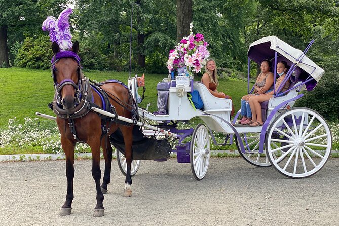 NYC Central Park Horse Carriage Rides (Winter sale) - Capacity and comfort for families