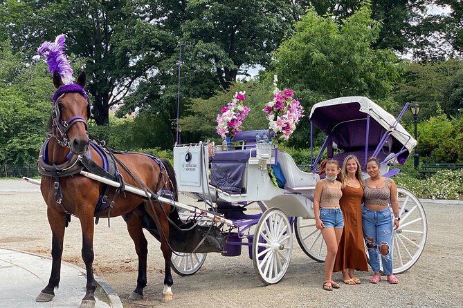 NYC Central Park Horse Carriage Rides (Winter sale) - What fits into 45 minutes