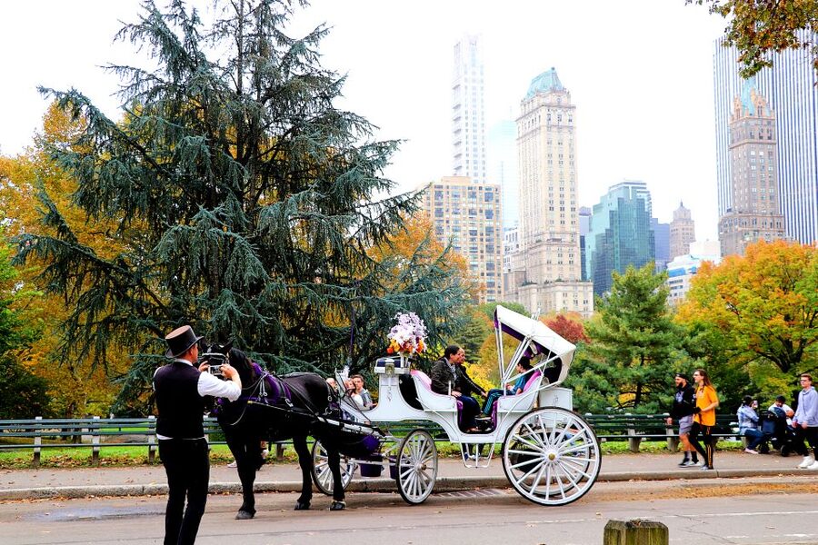 NYC: Central Park Horse-Drawn Carriage Ride (up to 4 Adults) - Key points before you book