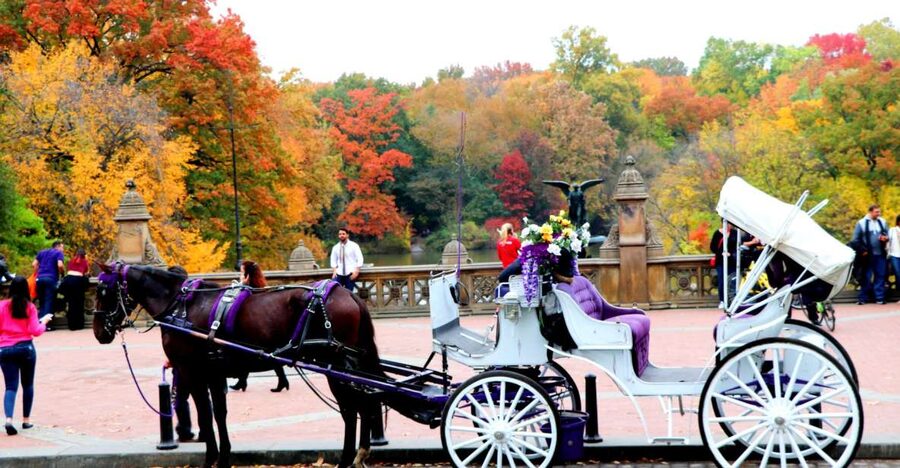NYC: Central Park Horse-Drawn Carriage Ride (up to 4 Adults) - A quiet ride through New York’s busiest park