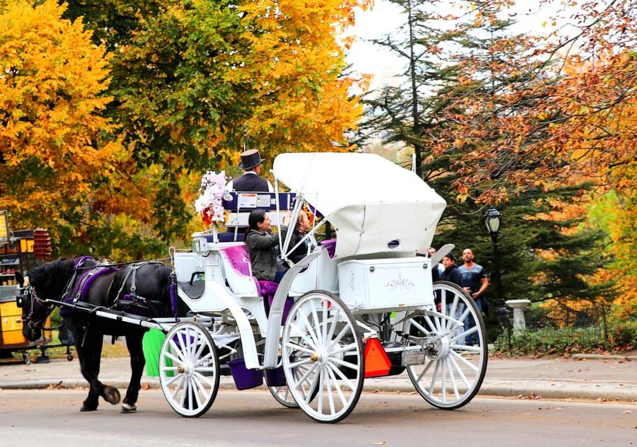 NYC: Central Park Horse-Drawn Carriage Ride (up to 4 Adults) - Bethesda Fountain and the park’s grandest pause