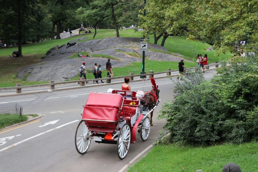 NYC: Central Park Horse-Drawn Carriage Ride (up to 4 Adults) - Is $255 a fair price for four people?