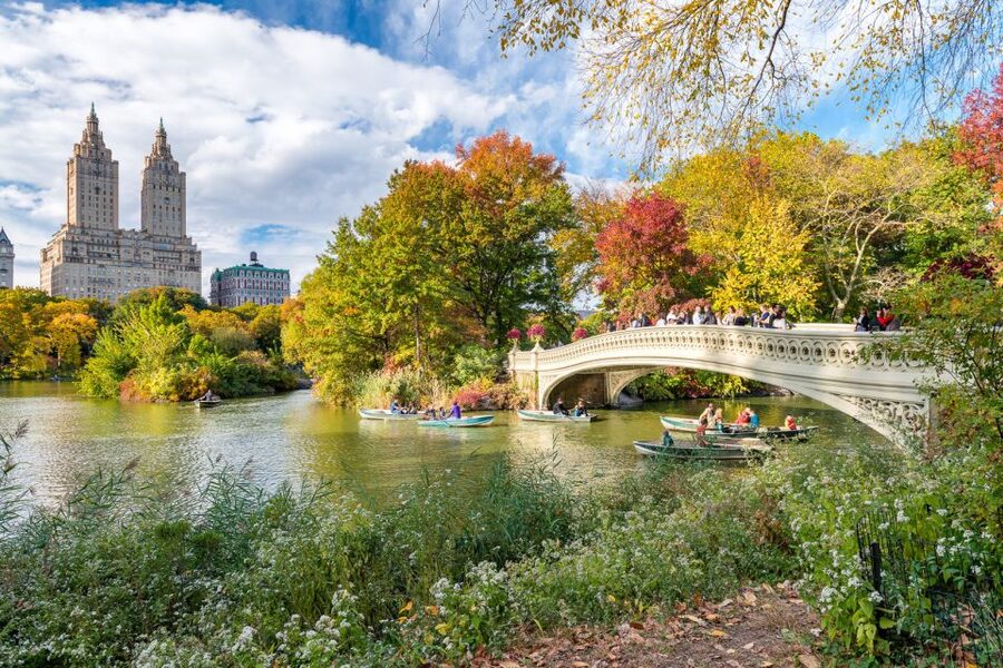 NYC: Central Park Pedicab Highlights Tour - FAQ