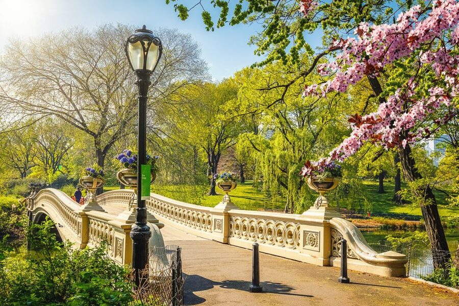 NYC: Central Park Pedicab Highlights Tour - Who will get the most from this tour