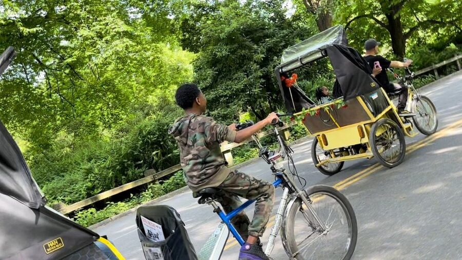 NYC: Central Park Pedicab Highlights Tour - Should you book the Central Park pedicab tour?