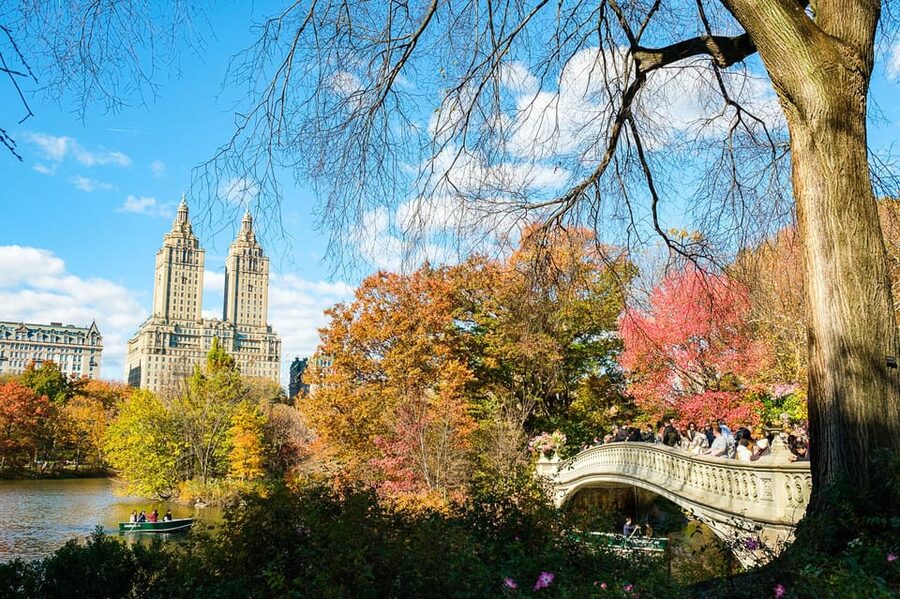 NYC: Central Park Pedicab Tour with Photo Stops - Bow Bridge, the Boathouse, and Cherry Hill Fountain